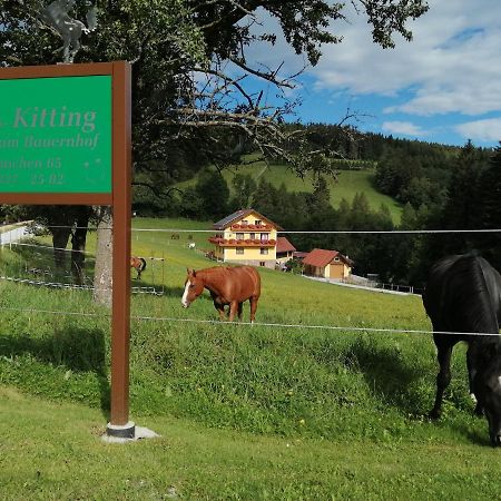 Urlaub Am Bauernhof Familie Kitting Vila Vorau Exterior foto
