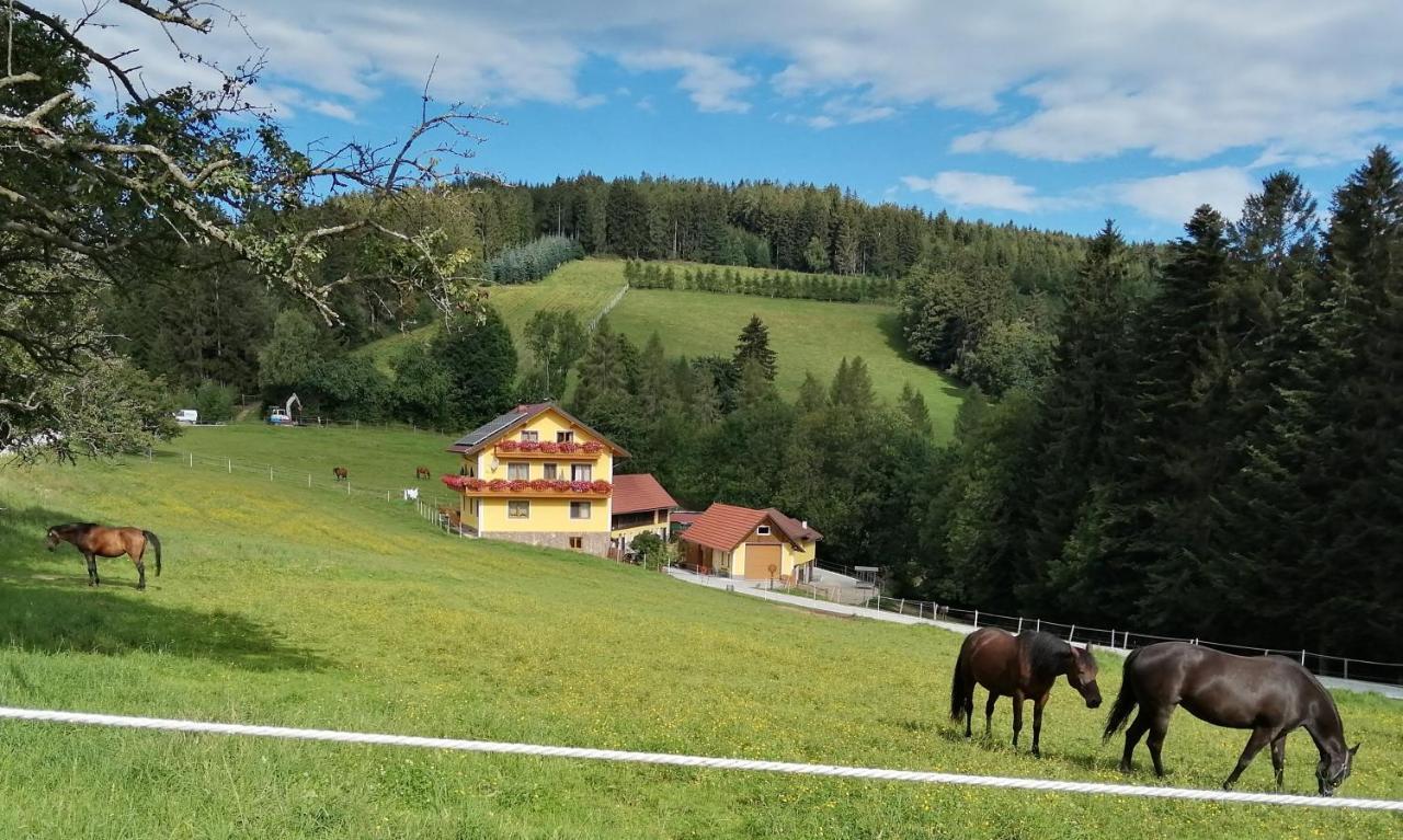 Urlaub Am Bauernhof Familie Kitting Vila Vorau Exterior foto