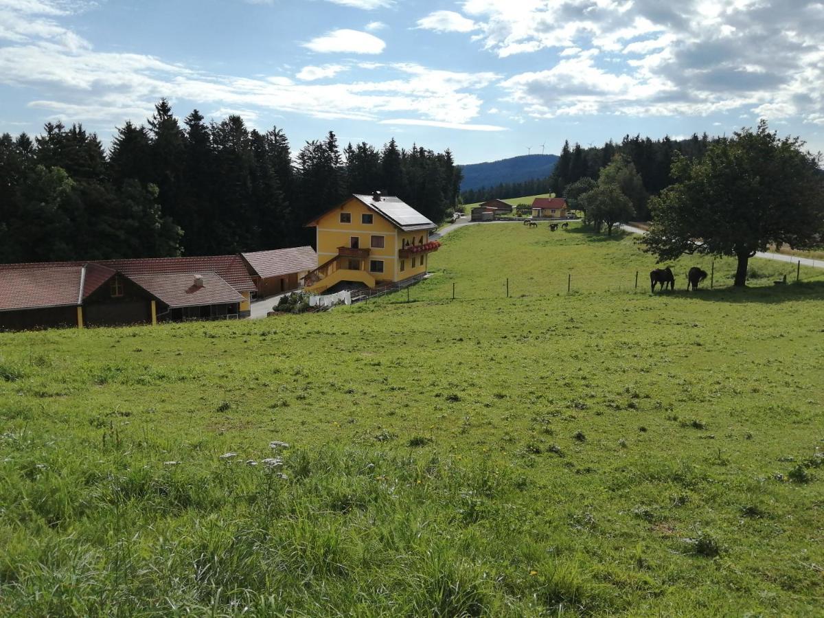 Urlaub Am Bauernhof Familie Kitting Vila Vorau Exterior foto