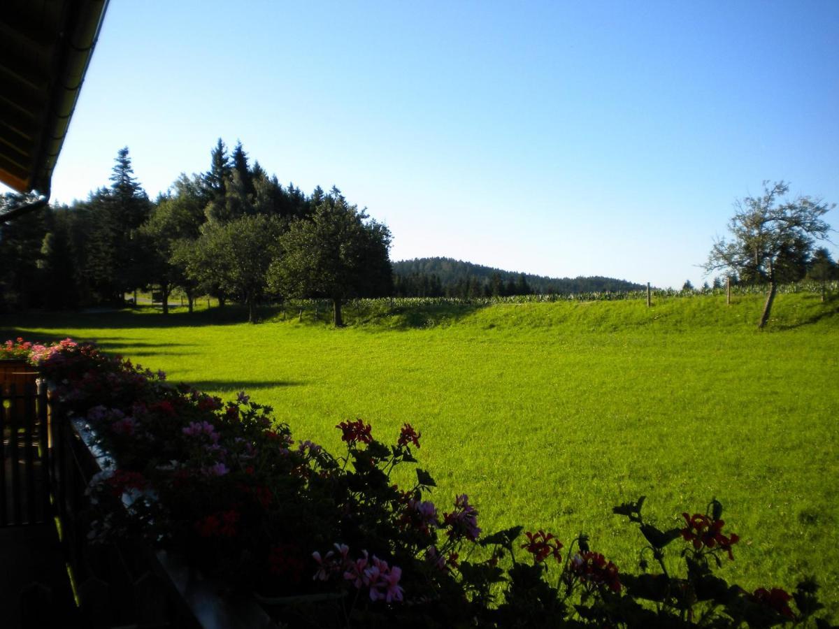 Urlaub Am Bauernhof Familie Kitting Vila Vorau Exterior foto