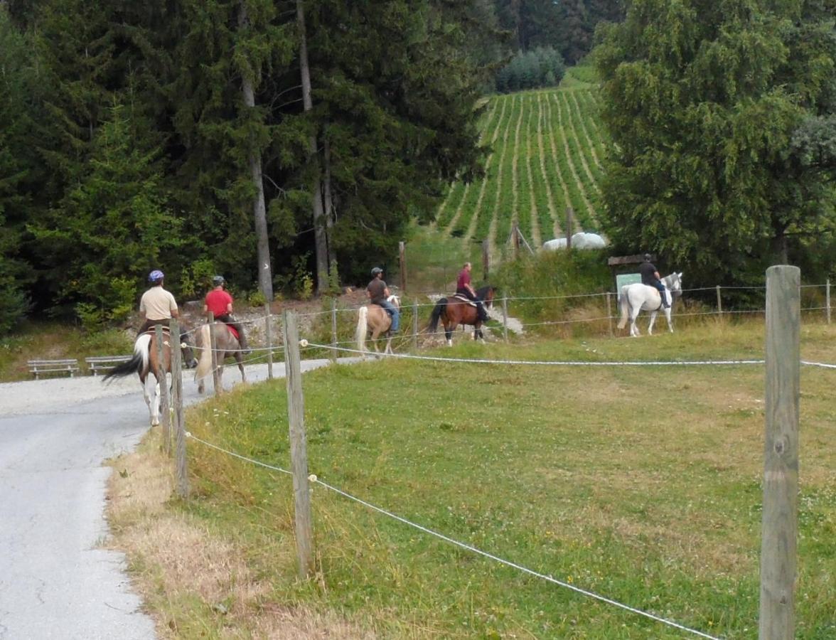 Urlaub Am Bauernhof Familie Kitting Vila Vorau Exterior foto